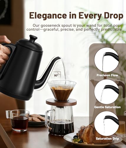 ELTRIKO Gooseneck Electric Kettle, 1L Water Boiler, Pour Over Coffee & Tea, 1000W Fast Heating, Stainless Steel, Auto Shut-Off & Boil-Dry Protection, BPA-Free
