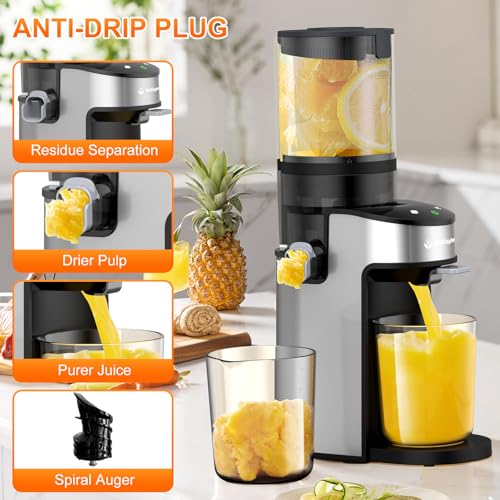 Cold Press Juicer Machines,Slow Masticating Juicer
