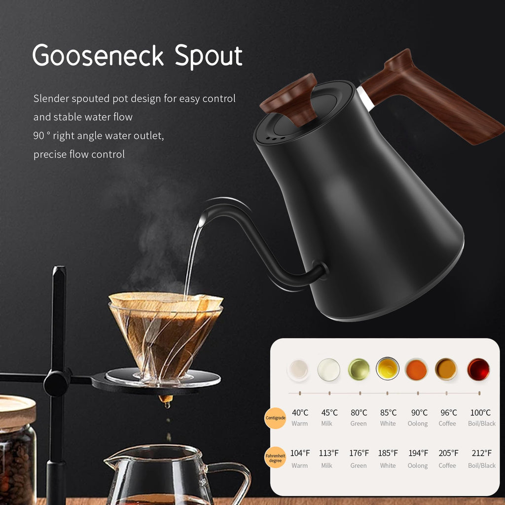 Electric Kettle for Home