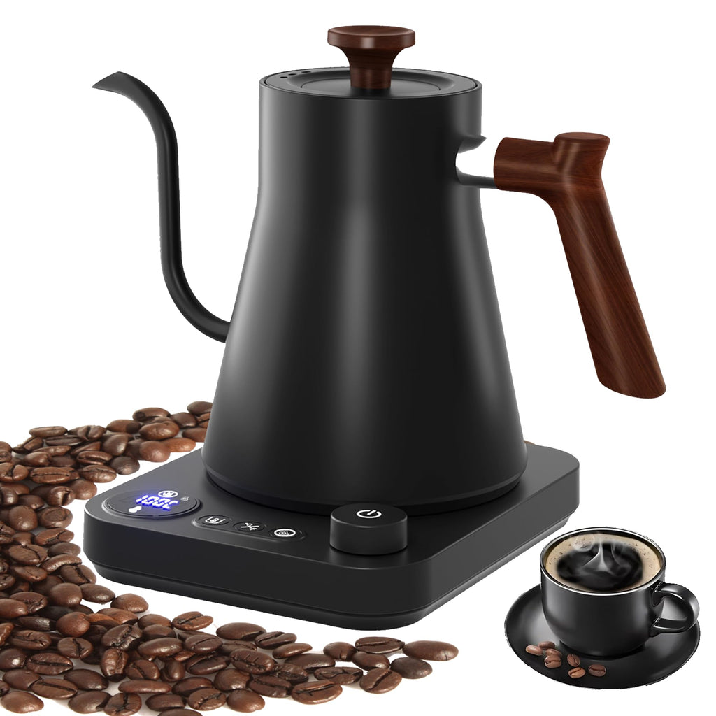 Electric Kettle for Home