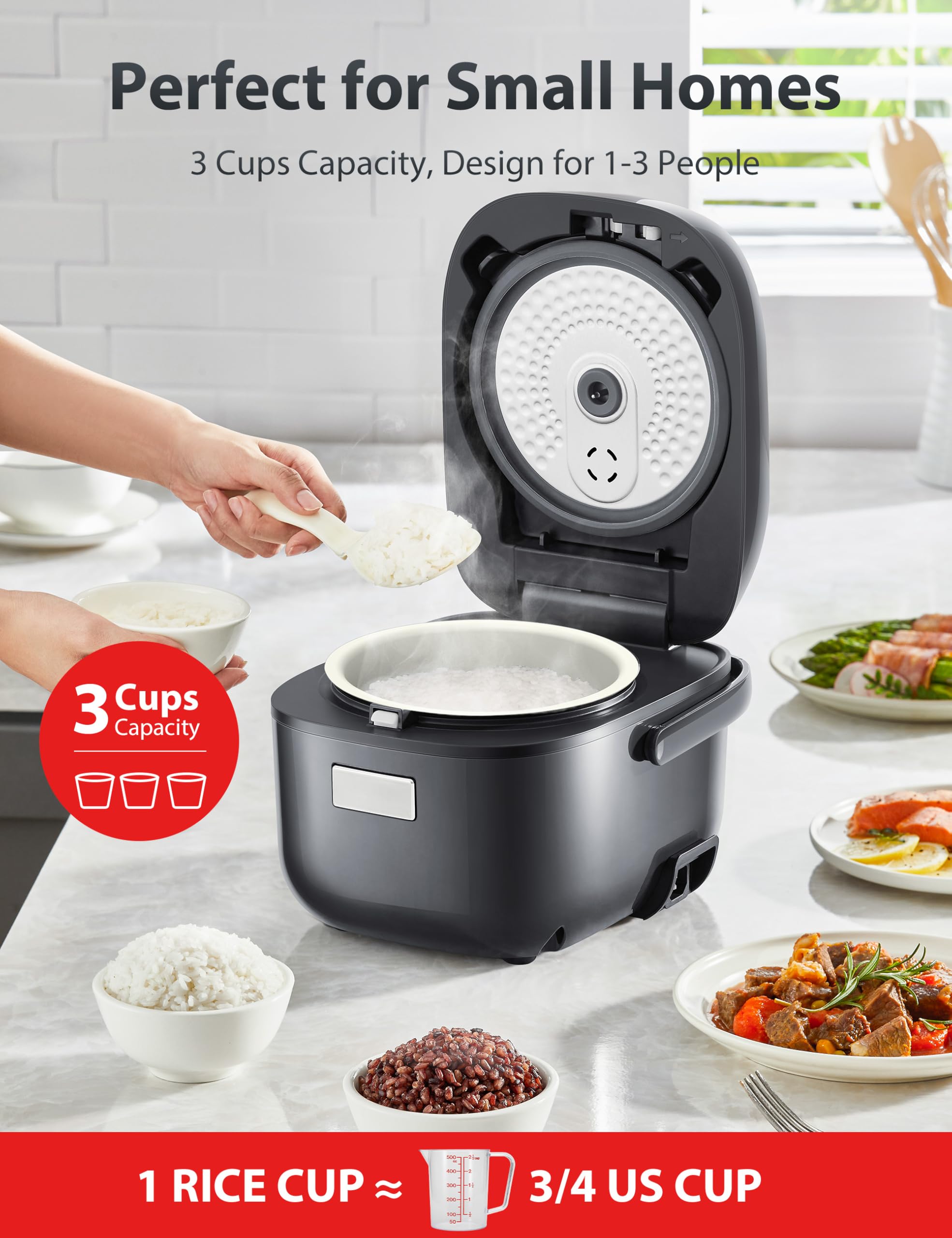 Toshiba Mini Rice Cooker 3 Cups Stainless Steel rice cookers